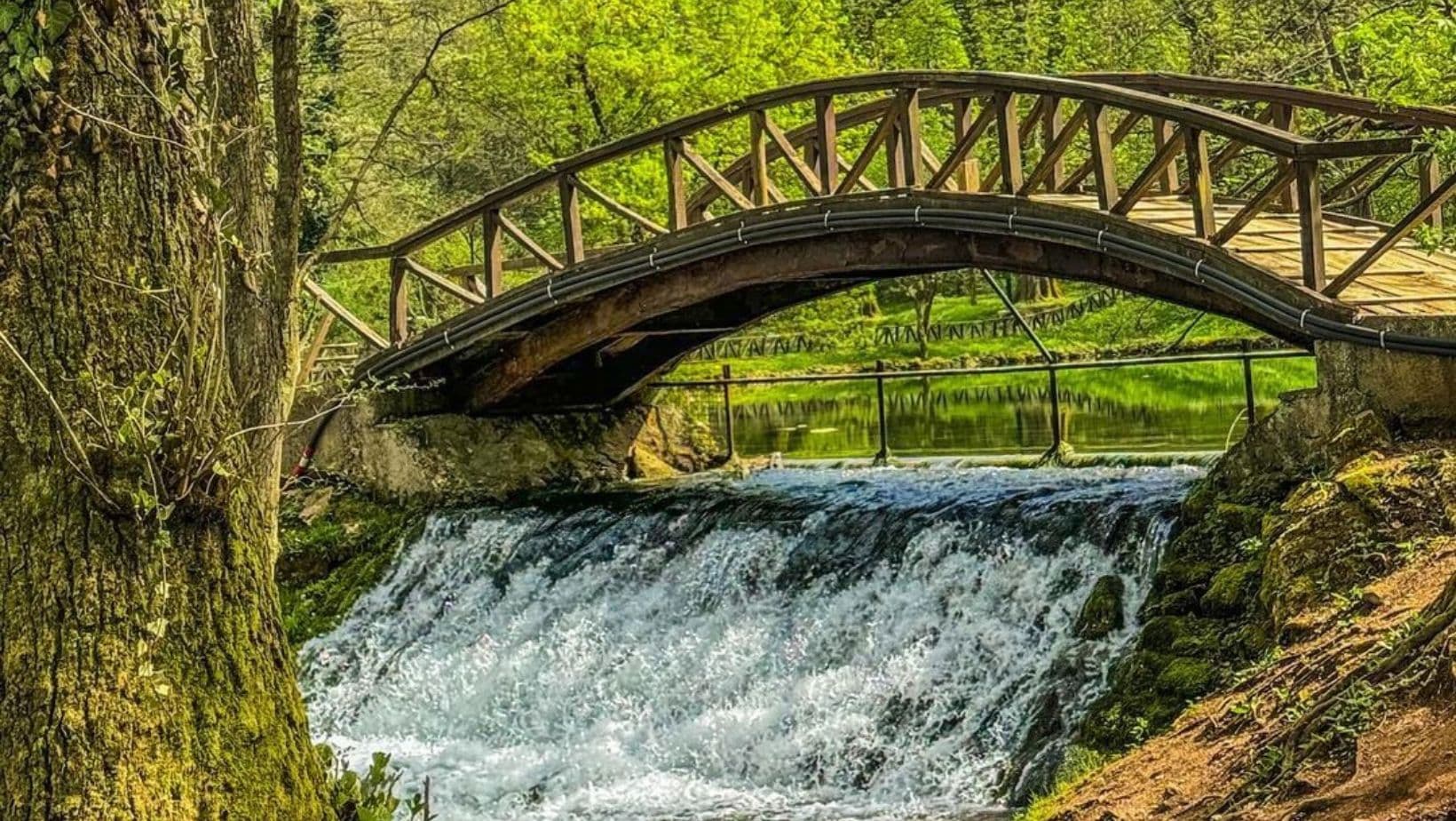 Spring of Bosna River